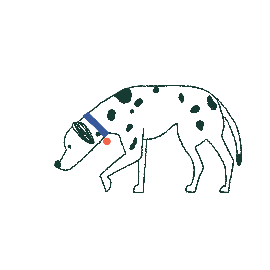 animated dog
